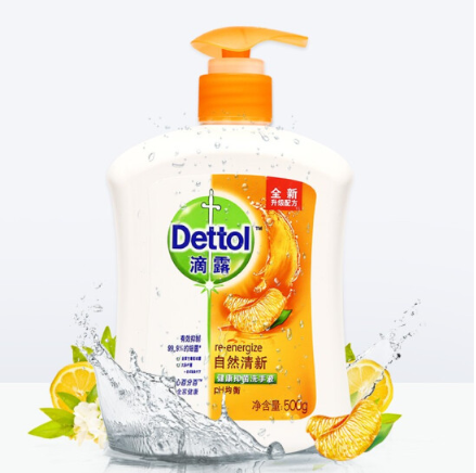 滴露Dettol健康抑菌洗手液自然清新500g 抑菌99.9% 儿童洗手液